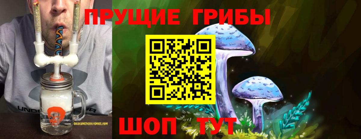 Электросталь  Галлюциногенные грибы Magic Shrooms  Галлюциногенные грибы Psilocybine cubensis  Вход с VPN 